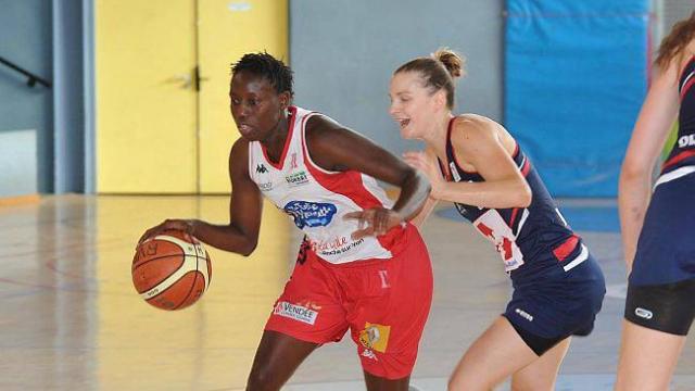 Ligue 2 : Une première recrue à Toulouse, La Roche conserve un noyau de 8 joueuses