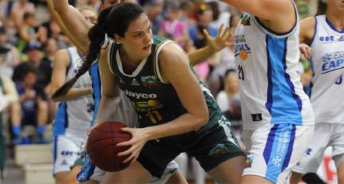 australie_2014-2015_lauren-scherf-dandenong_wnbl