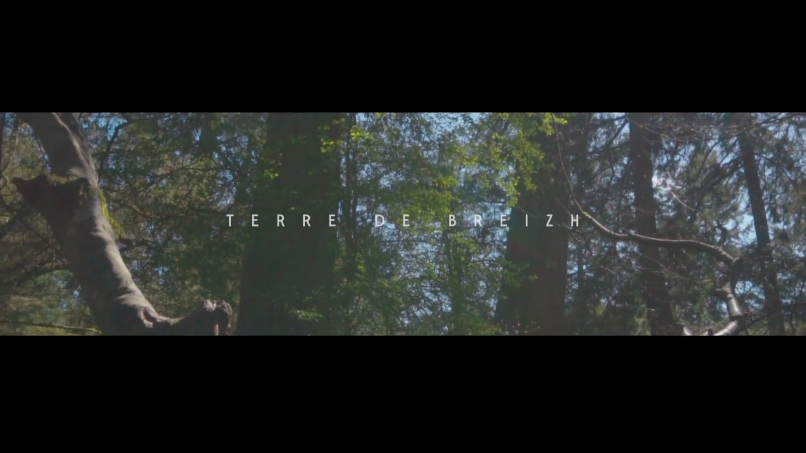 LFB : Landerneau, Terre de Breizh