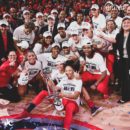 WNBA FINALS 2019 : Washington décroche le Graal, Emma MEESSEMAN MVP.