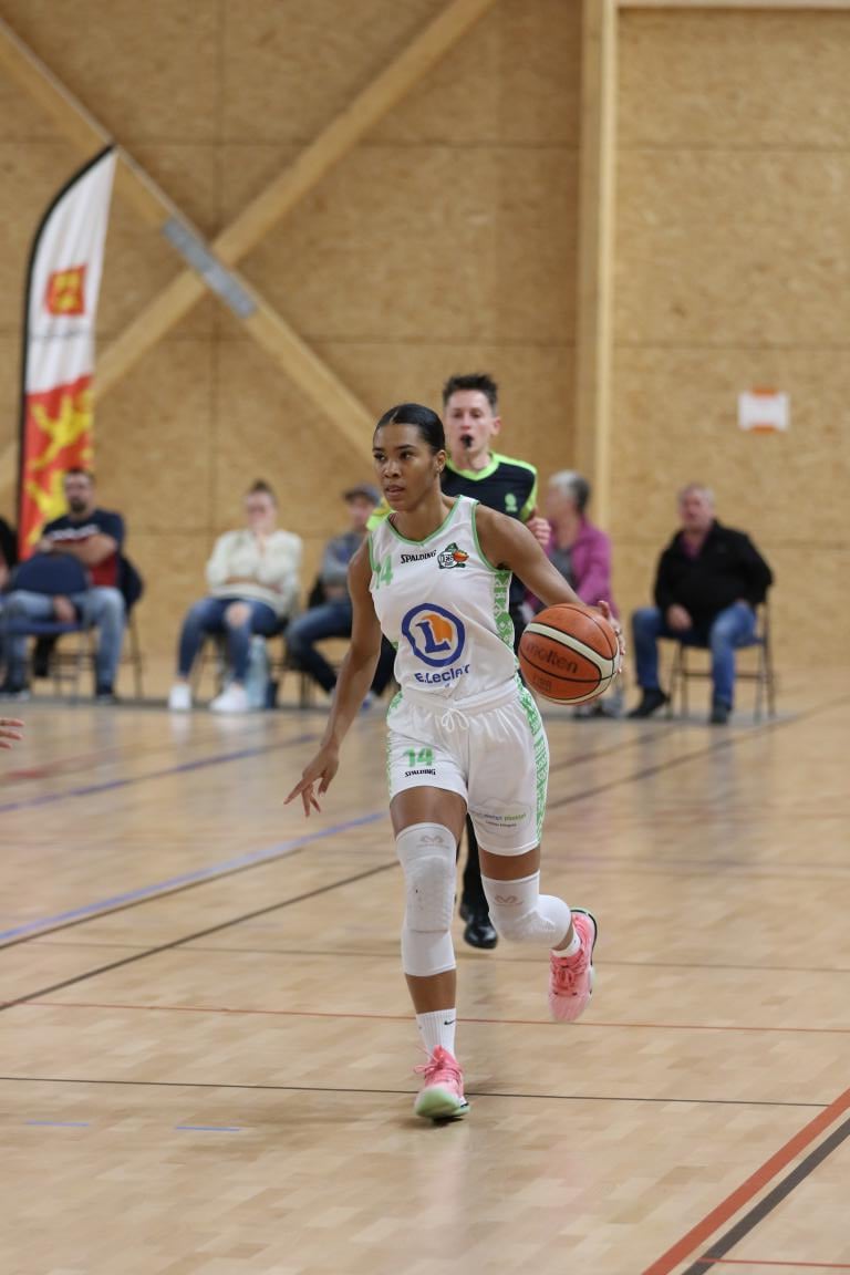 NF1 poule A : Ste Savine n’y arrive toujours pas, Sceaux n’a pas réussi à faire chuter le Havre