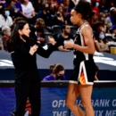 WNBA : Sandy BRONDELLO n’est plus la coach de Phoenix !