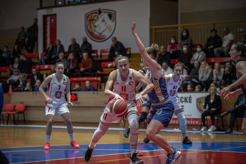 Rep. Tchèque : Hradec Kralové rejoint les deux équipes de Brno en attendant l’U.S.K. Prague