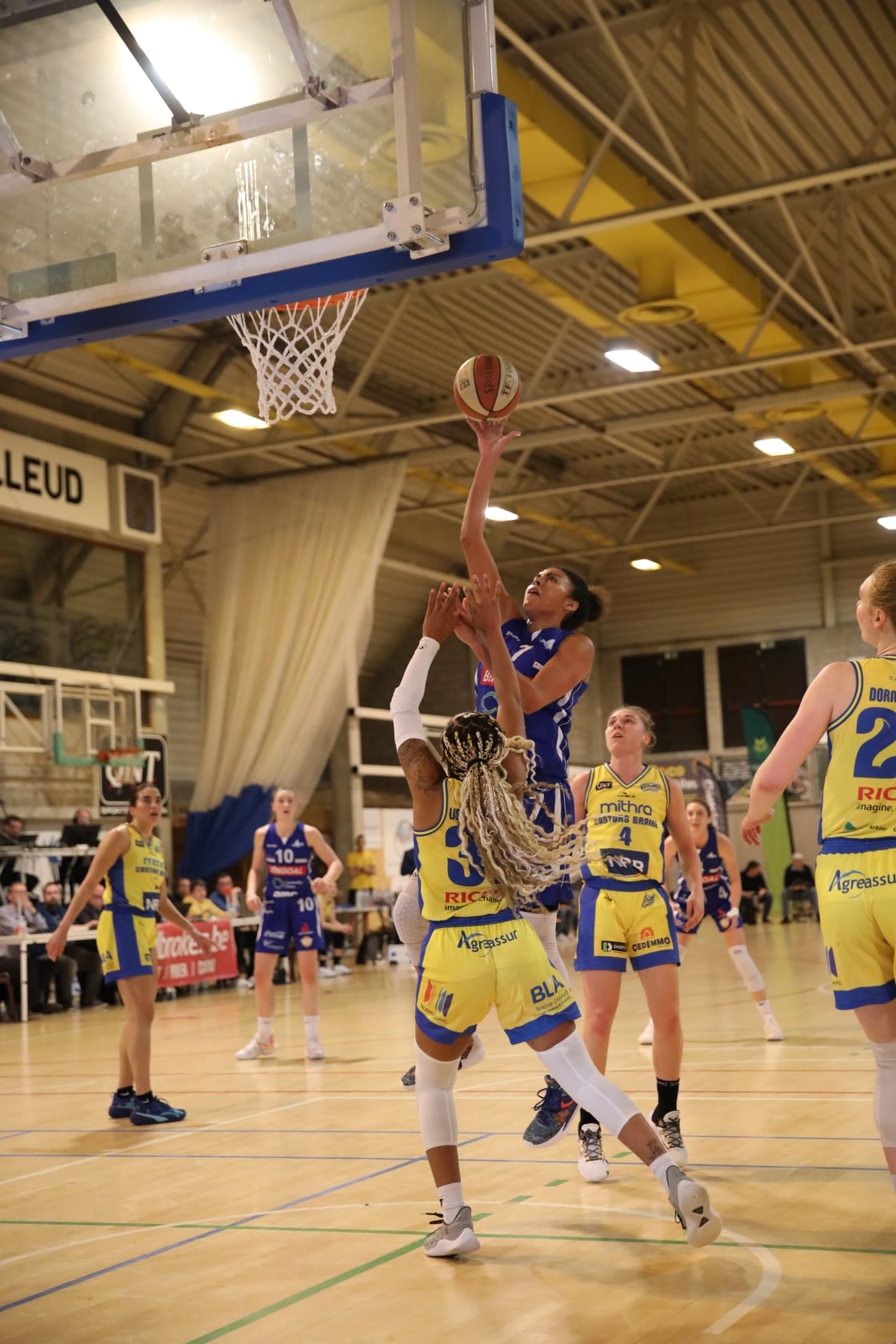 Belgique : Kangoeroes Malines égalise dans la course au titre !