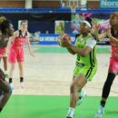 LFB : Une internationale nigériane arrive à Landerneau Bretagne Basket