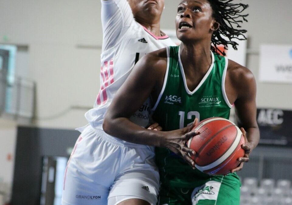 NF1 poule A : Sceaux croit toujours en ses chances de playoffs