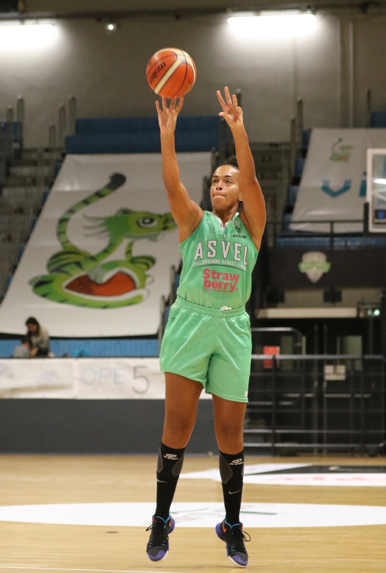 NF1 poule A : Match au sommet sur le Rocher, Limoges et Roanne veulent se rapprocher de la tête du classement