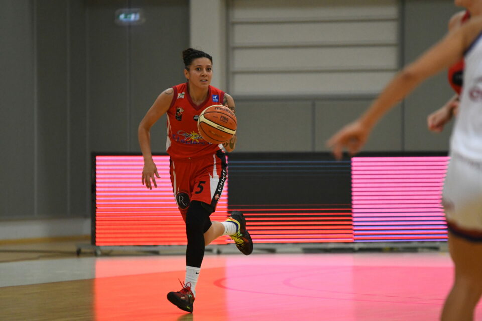 NF1 poule B : Le Havre s’impose à Limoges, Le Poinçonnet en profite et reprend la place de dauphin avant les fêtes