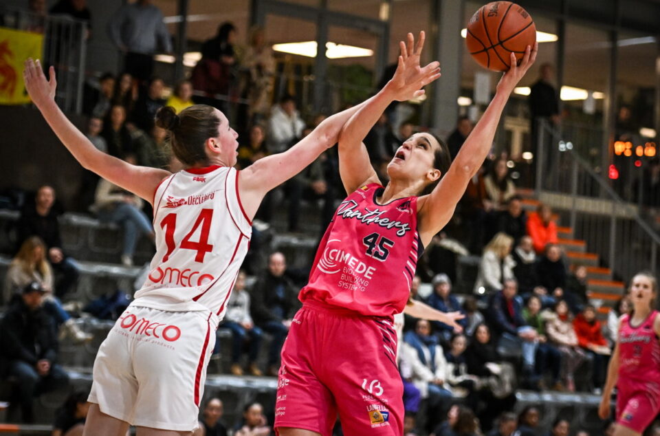 Belgique : Ca prolonge à Brunehaut et Liège