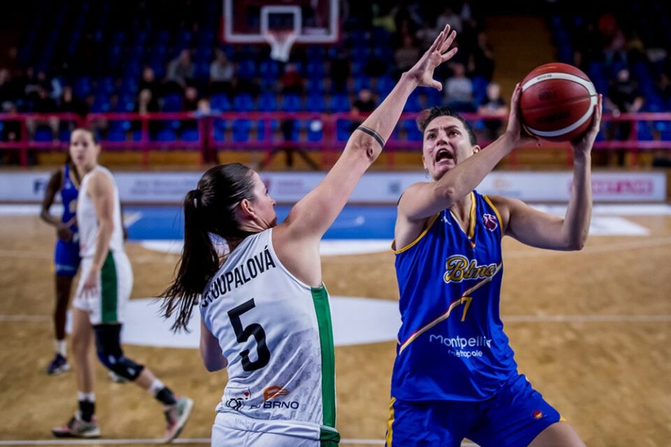 LFB : Le BLMA part à l&rsquo;assaut du Prado, Basket Landes et Charleville en reconquête