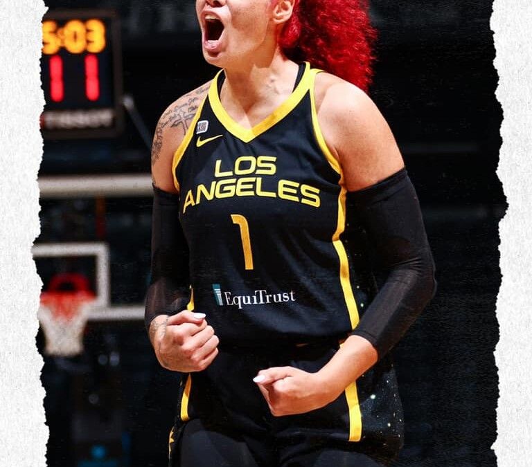 WNBA : Amanda ZAHUI n&rsquo;ira finalement pas à Las Vegas mais ailleurs, les camps d&rsquo;entrainement continuent de prendre forme