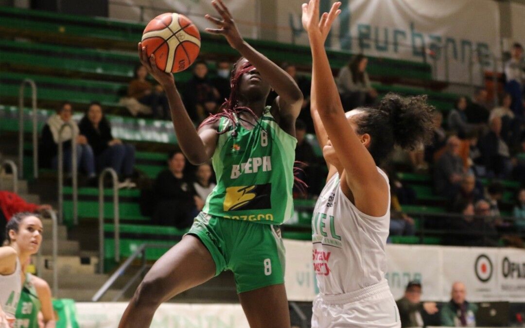 NF1 : Trois équipes se renforcent, Nantes-Rezé se stabilise