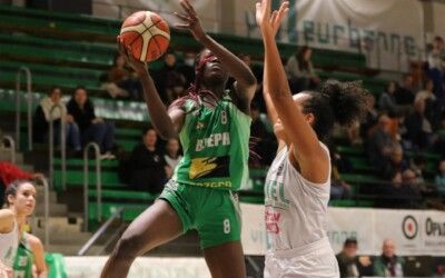NF1 : Trois équipes se renforcent, Nantes-Rezé se stabilise
