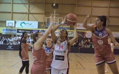 NF1 : Les playoffs débutent demain soir !