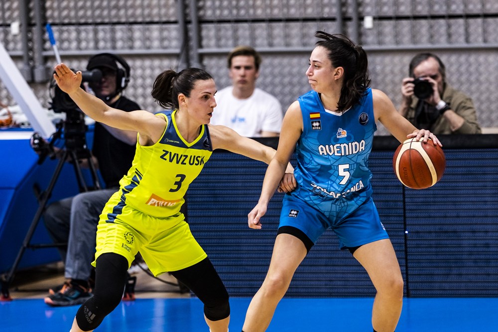 Rép. Tchèque : Le point sur les évolutions des effectifs des clubs de la ZBL, deux mois après la fin de la saison 2022-2023