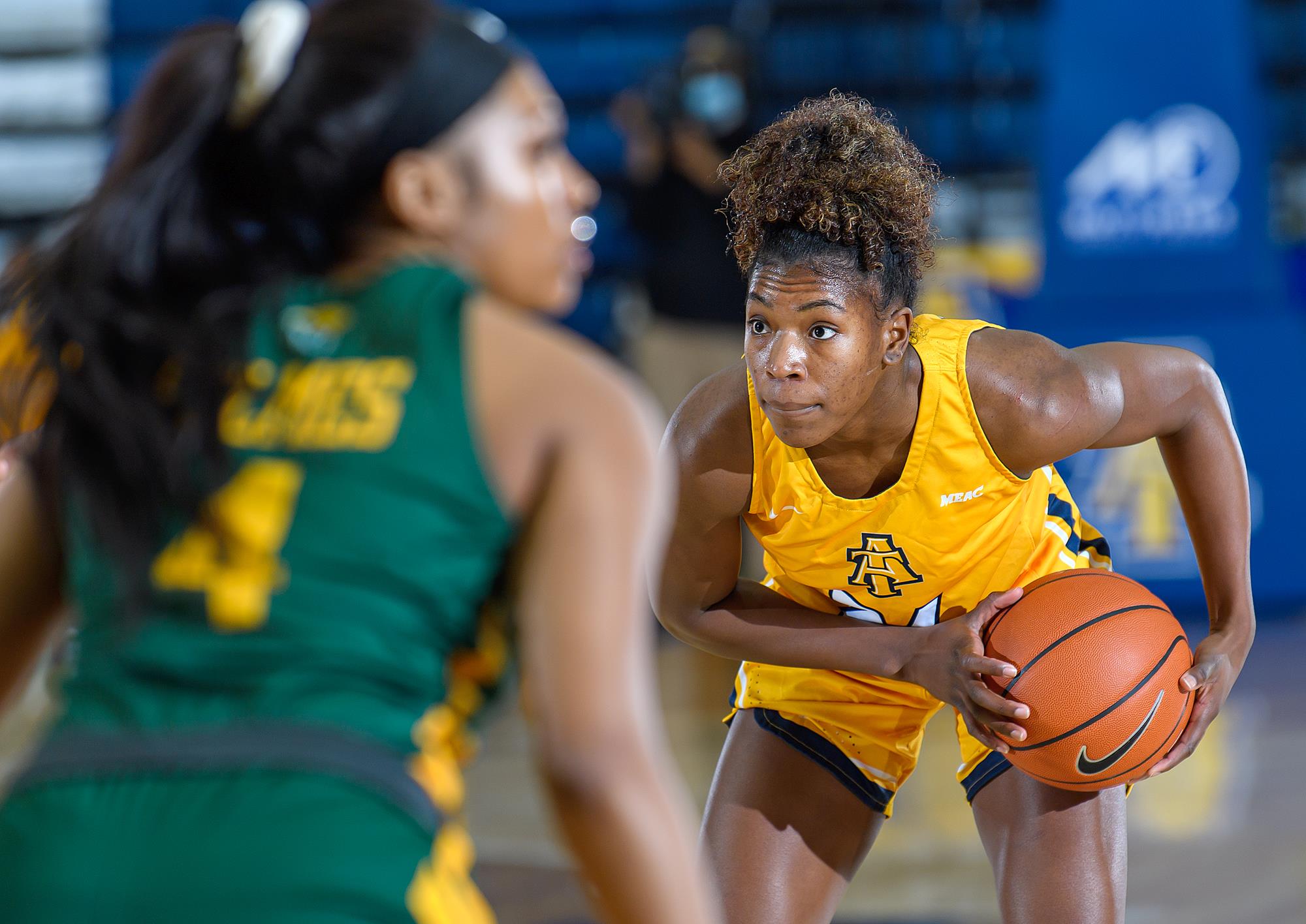 NF1 : Colomiers et Le Havre annoncent d’autres renforts