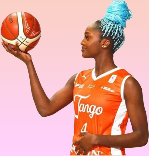 NF1 : Rezé modifie son secteur extérieur