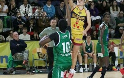 NF1 poule B : Les jeux sont faits mais il reste une saison régulière à terminer