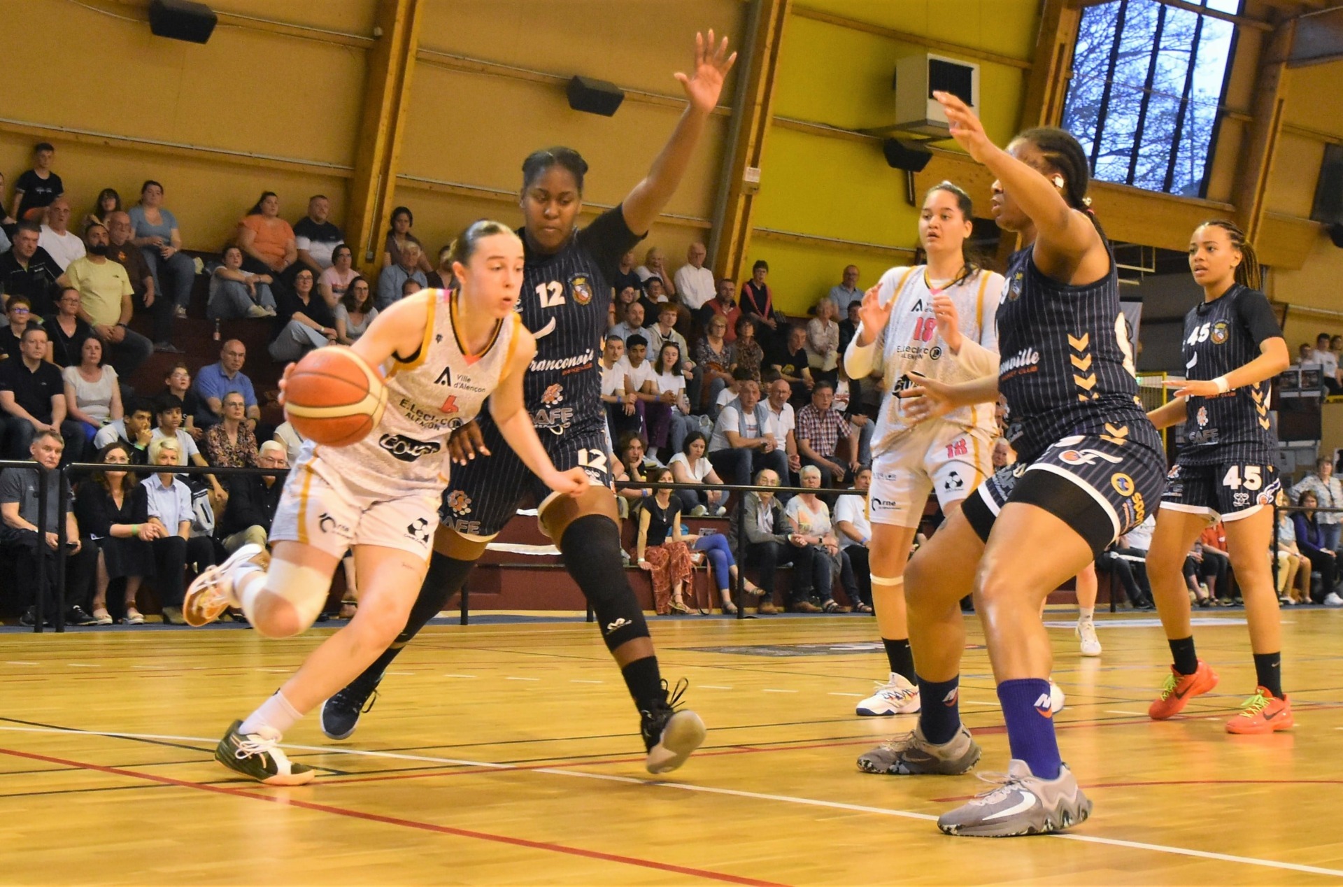 NF1 poule B : Alençon et Le Havre sont en forme avant les playoffs, les espoirs de Villeneuve d’Ascq terminent bien