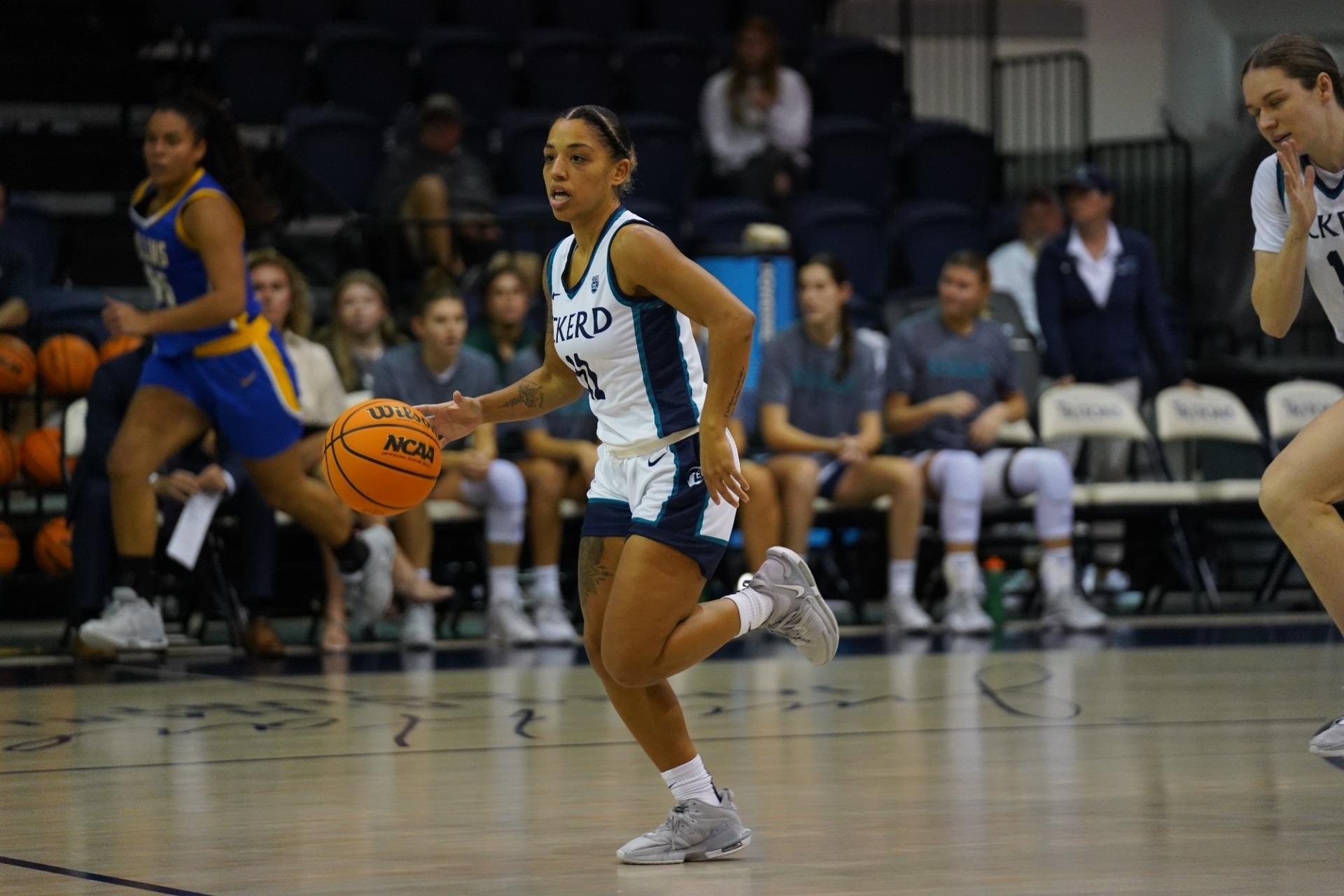 NF1 : Dieppe, Reims et Trith recrutent encore