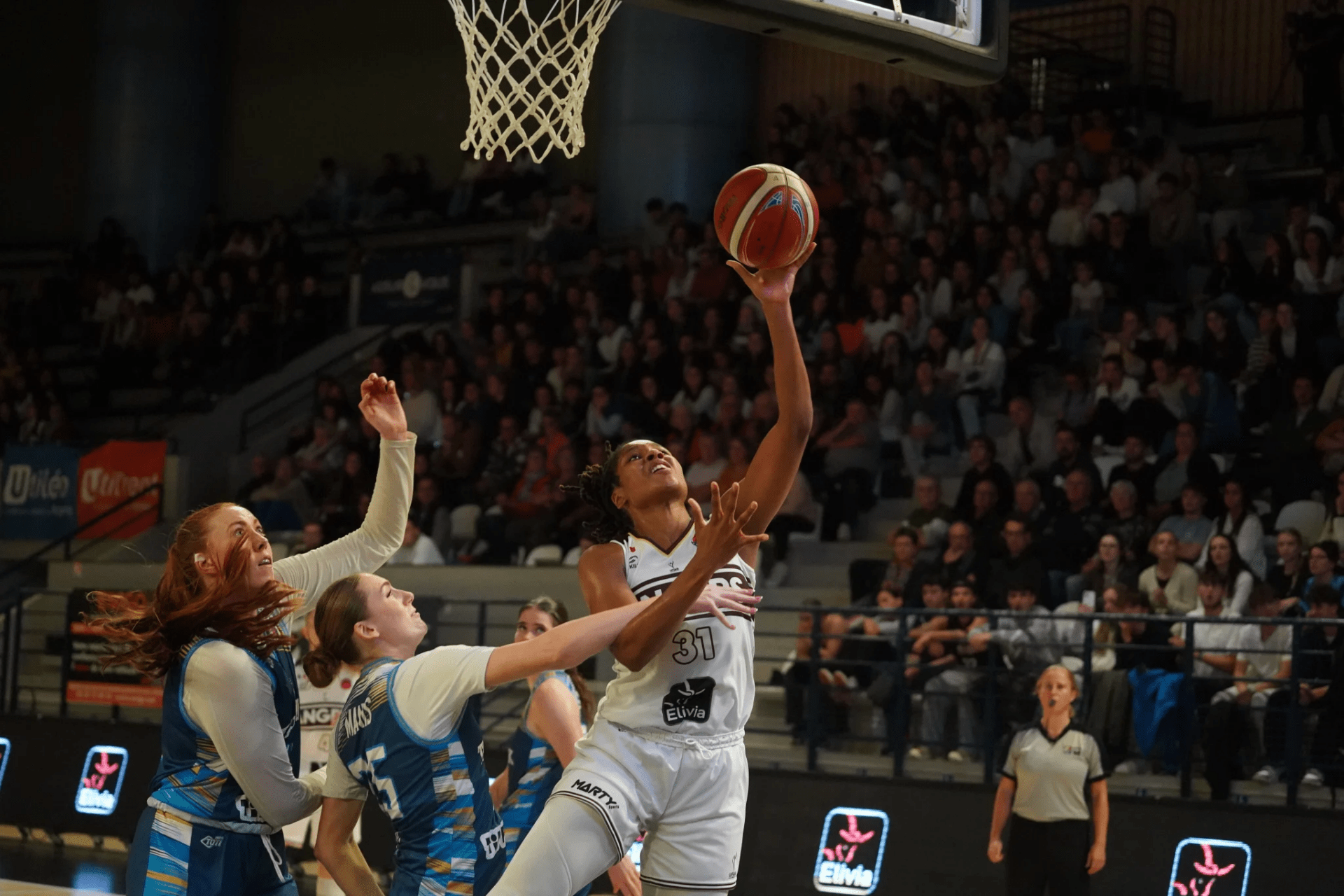 Eurocoupe 24-25 : Angers confirme son accès à la compétition, tout comme Bodrum et Sassari