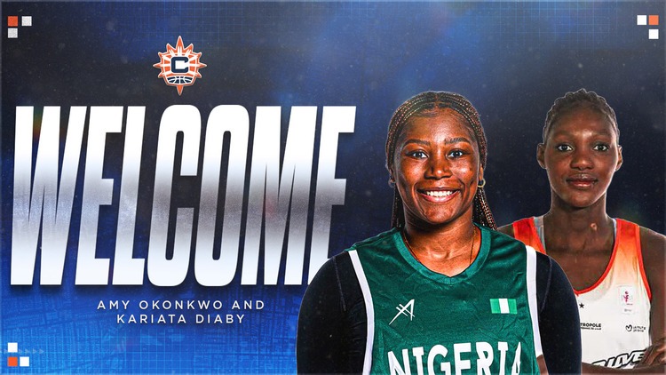 WNBA : La ligue nord-américaine, nouvel eldorado de la Boulangère Wonderligue ?