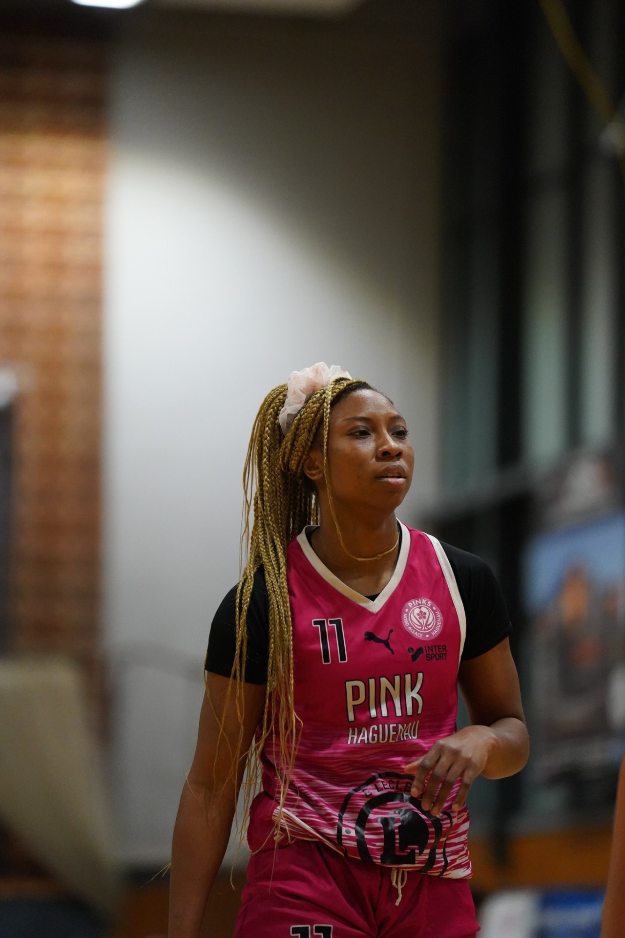 NF1 poule B : La lutte pour la qualification vers les playoffs va faire rage demain soir !