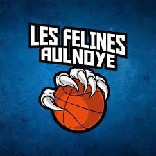 Ligue 2 Aulnoye-Aymeries : La fin d’un cycle avec de nombreux départs, des arrivées déjà annoncées