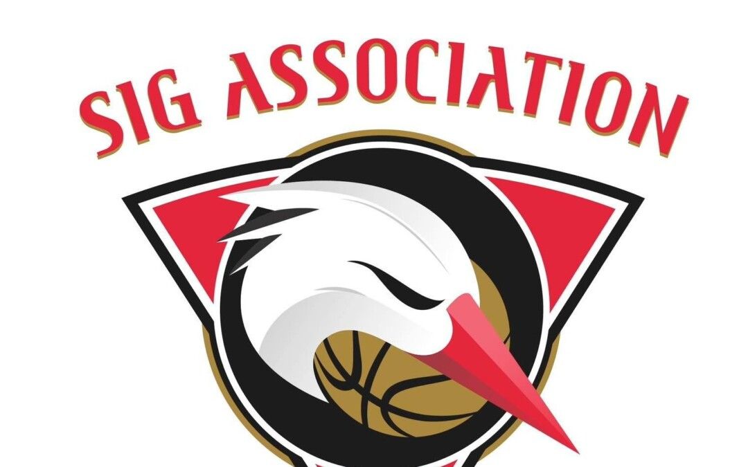 Ligue 2 SIG : Un défi à relever après l&rsquo;engagement tardif en Ligue 2