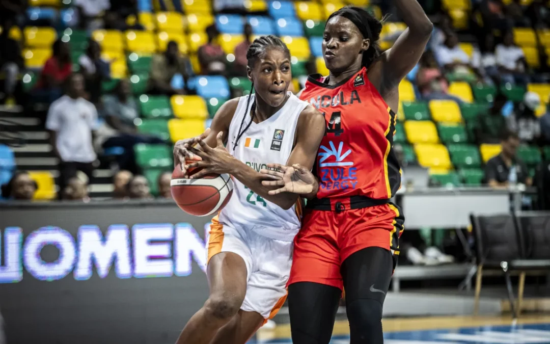 NF1 : Chauray promu actif, Franconville repêché, Colomiers lance son recrutement alors que Bihorel et le Stade Français enchaînent