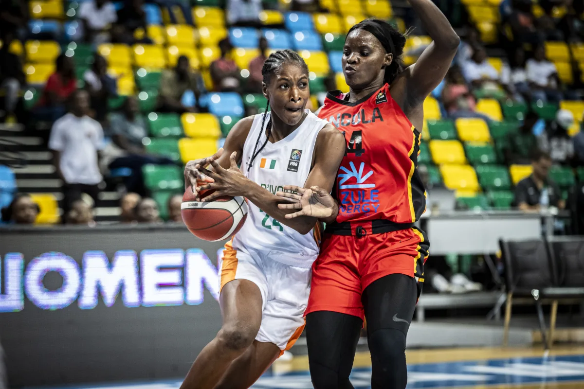 NF1 : Chauray promu actif, Franconville repêché, Colomiers lance son recrutement alors que Bihorel et le Stade Français enchaînent