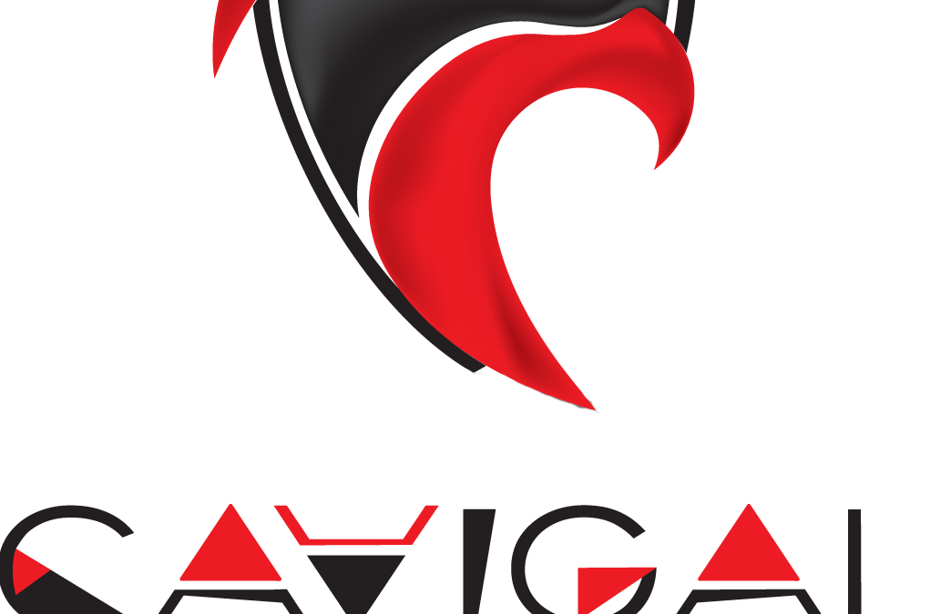 Ligue 2 : Nice affiche ses ambitions et vise le Top 4